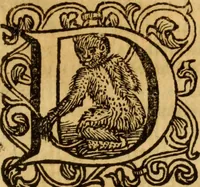 An illustration from Laurentii Bellini Opuscula aliquot Ad Archibaldum Pitcarnium Professorem Lugduno-Batavum (1695)