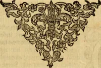 An illustration from Laurentii Bellini Opuscula aliquot Ad Archibaldum Pitcarnium Professorem Lugduno-Batavum (1695)