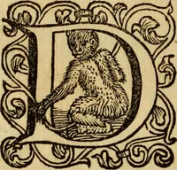 An illustration from Laurentii Bellini Opuscula aliquot Ad Archibaldum Pitcarnium Professorem Lugduno-Batavum (1695)