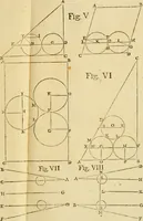 An illustration from Laurentii Bellini Opuscula aliquot Ad Archibaldum Pitcarnium Professorem Lugduno-Batavum (1695)