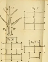 Picture 44 of 44 from Laurentii Bellini Opuscula aliquot Ad Archibaldum Pitcarnium Professorem Lugduno-Batavum (1695), leaf 250