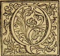 An illustration from Laurentii Bellini Opuscula aliquot Ad Archibaldum Pitcarnium Professorem Lugduno-Batavum (1695)