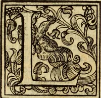 An illustration from Laurentii Bellini Opuscula aliquot Ad Archibaldum Pitcarnium Professorem Lugduno-Batavum (1695)