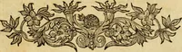 An illustration from Laurentii Bellini Opuscula aliquot Ad Archibaldum Pitcarnium Professorem Lugduno-Batavum (1695)