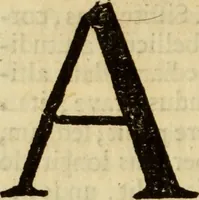 An illustration from Laurentii Bellini Opuscula aliquot Ad Archibaldum Pitcarnium Professorem Lugduno-Batavum (1695)