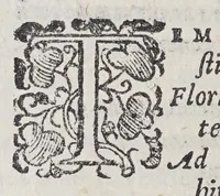 An illustration from Laurentii Gambarae Brixiani De nauigatione Christophori Columbi libri quattuor (1581)