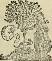 An illustration from Laurentii Pignorii Patauini De seruis, et eorum apud veteres ministerijs, commentarius : in quo familia, tum urbana, tum rustica, ordine producitur & illustratur (1656)