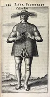 Picture 5 of 36 from Laurentii Pignorii Patavini De servis, & eorum apud veteres ministeriis, commentarius : in quo familia, tum urbana, tum rustica, ordine producitur & illustratur (1674), leaf 202