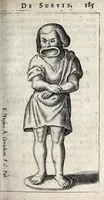 Picture 11 of 36 from Laurentii Pignorii Patavini De servis, & eorum apud veteres ministeriis, commentarius : in quo familia, tum urbana, tum rustica, ordine producitur & illustratur (1674), leaf 237