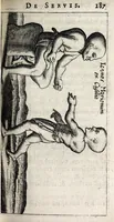 Picture 13 of 36 from Laurentii Pignorii Patavini De servis, & eorum apud veteres ministeriis, commentarius : in quo familia, tum urbana, tum rustica, ordine producitur & illustratur (1674), leaf 241