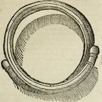 An illustration from Laurentij Pignorij Patavini De servis, et eorum apud veteres ministerijs commentarius : in hac ultima editione pro rerum diversitate discretus in capita additis titulis denotata : accessit, Symbolarum epistolicarum liber (1694)