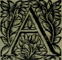 Picture 4 of 4 from La Valize ouverte (1680), leaf 16