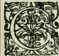 An illustration from La vana speculazione disingannata dal senso : lettera risponsiua circa i corpi marini, che petrificati si trouano in varij luoghi terrestri / di Agostino Scilla .. (1670)