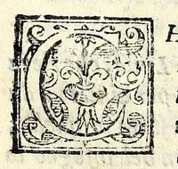 An illustration from La vedova : commedia facetissima (1592)