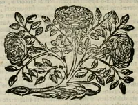 An illustration from La veglia : dialogo (1690)