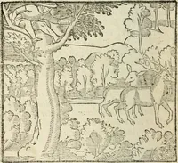 An illustration from La venerie de Jacques du Fouilloux, gentil-homme, seigneur dudit lieu, pays de Gastine, en Poitou; ... avec plusieurs receptes et remedes pour guerir les chiens de diverses maladies; plus, l'Adolescence de l'autheur (1562)