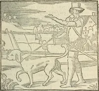Picture 30 of 57 from La venerie de Jacques du Fouilloux, gentil-homme, seigneur dudit lieu, pays de Gastine, en Poitou; ... avec plusieurs receptes et remedes pour guerir les chiens de diverses maladies; plus, l'Adolescence de l'autheur (1562), leaf 112