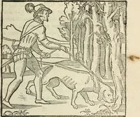 An illustration from La venerie de Jacques du Fouilloux, gentil-homme, seigneur dudit lieu, pays de Gastine, en Poitou; ... avec plusieurs receptes et remedes pour guerir les chiens de diverses maladies; plus, l'Adolescence de l'autheur (1562)