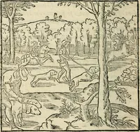 An illustration from La venerie de Jacques du Fouilloux, gentil-homme, seigneur dudit lieu, pays de Gastine, en Poitou; ... avec plusieurs receptes et remedes pour guerir les chiens de diverses maladies; plus, l'Adolescence de l'autheur (1562)