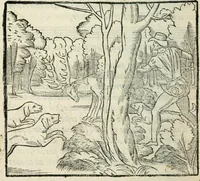 Picture 38 of 57 from La venerie de Jacques du Fouilloux, gentil-homme, seigneur dudit lieu, pays de Gastine, en Poitou; ... avec plusieurs receptes et remedes pour guerir les chiens de diverses maladies; plus, l'Adolescence de l'autheur (1562), leaf 173