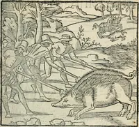 An illustration from La venerie de Jacques du Fouilloux, gentil-homme, seigneur dudit lieu, pays de Gastine, en Poitou; ... avec plusieurs receptes et remedes pour guerir les chiens de diverses maladies; plus, l'Adolescence de l'autheur (1562)