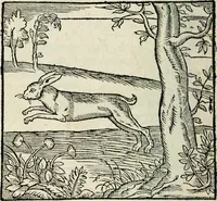 An illustration from La venerie de Jacques du Fouilloux, gentil-homme, seigneur dudit lieu, pays de Gastine, en Poitou; ... avec plusieurs receptes et remedes pour guerir les chiens de diverses maladies; plus, l'Adolescence de l'autheur (1562)