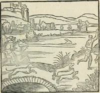 An illustration from La venerie de Jacques du Fouilloux, gentil-homme, seigneur dudit lieu, pays de Gastine, en Poitou; ... avec plusieurs receptes et remedes pour guerir les chiens de diverses maladies; plus, l'Adolescence de l'autheur (1562)