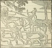 An illustration from La venerie de Jacques du Fouilloux, gentil-homme, seigneur dudit lieu, pays de Gastine, en Poitou; ... avec plusieurs receptes et remedes pour guerir les chiens de diverses maladies; plus, l'Adolescence de l'autheur (1562)