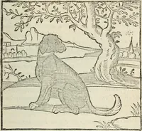 An illustration from La venerie de Jacques du Fouilloux, gentil-homme, seigneur dudit lieu, pays de Gastine, en Poitou; ... avec plusieurs receptes et remedes pour guerir les chiens de diverses maladies; plus, l'Adolescence de l'autheur (1562)