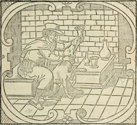 Picture 52 of 57 from La venerie de Jacques du Fouilloux, gentil-homme, seigneur dudit lieu, pays de Gastine, en Poitou; ... avec plusieurs receptes et remedes pour guerir les chiens de diverses maladies; plus, l'Adolescence de l'autheur (1562), leaf 250