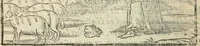 An illustration from La venerie de Jacques du Fouilloux, gentil-homme, seigneur dudit lieu, pays de Gastine, en Poitou; ... avec plusieurs receptes et remedes pour guerir les chiens de diverses maladies; plus, l'Adolescence de l'autheur (1562)