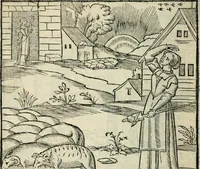 An illustration from La venerie de Jacques du Fouilloux, gentil-homme, seigneur dudit lieu, pays de Gastine, en Poitou; ... avec plusieurs receptes et remedes pour guerir les chiens de diverses maladies; plus, l'Adolescence de l'autheur (1562)