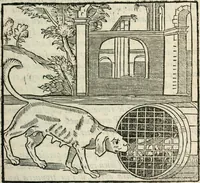 An illustration from La venerie de Jacques du Fouilloux, gentil-homme, seigneur dudit lieu, pays de Gastine, en Poitou; ... avec plusieurs receptes et remedes pour guerir les chiens de diverses maladies; plus, l'Adolescence de l'autheur (1562)