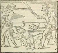 An illustration from La venerie de Jacques du Fouilloux, gentil-homme, seigneur dudit lieu, pays de Gastine, en Poitou; ... avec plusieurs receptes et remedes pour guerir les chiens de diverses maladies; plus, l'Adolescence de l'autheur (1562)