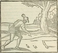 An illustration from La venerie de Jacques du Fouilloux, gentil-homme, seigneur dudit lieu, pays de Gastine, en Poitou; ... avec plusieurs receptes et remedes pour guerir les chiens de diverses maladies; plus, l'Adolescence de l'autheur (1562)