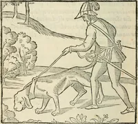 An illustration from La venerie de Jacques du Fouilloux, gentil-homme, seigneur dudit lieu, pays de Gastine, en Poitou; ... avec plusieurs receptes et remedes pour guerir les chiens de diverses maladies; plus, l'Adolescence de l'autheur (1562)