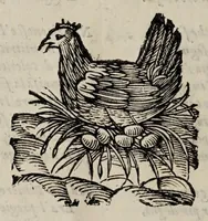 Picture 22 of 40 from La Venetia edificata : poema eroico (1624), leaf 152