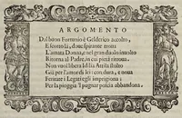 Picture 32 of 40 from La Venetia edificata : poema eroico (1624), leaf 215