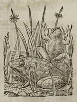 Picture 12 of 40 from La Venetia edificata : poema eroico (1624), leaf 87