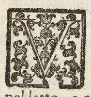 An illustration from La venuta et i progressi miracolosi della S.ma Madonna : dipinta dà S. Luca posta sul monte della Guardia dall'anno che ci uenne 1160 sin all'anno 1617 (1617)