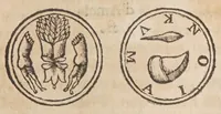 Picture 11 of 15 from La vera antichita di Pozzuolo : oue con l'istoria de tutte le cose del contorno, si narrano la bellezza di (1652), leaf 257