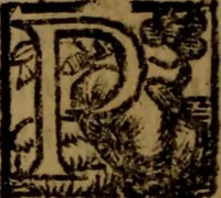 An illustration from La vera dichiaratione di tutte le metafore, similitudini, & enimmi de gl'antichi filosofi alchimisti, tanto caldei & arabi, come greci & latini, vsati da loro nella descrittione, & compositione dell' oro potabile, elissire della vita, quinta essenza, & lapis filosofico : oue con vn breve discorso della generatione de i metalli, & quasi di tutte l'opere di natura, secondo i principij della filosofia, si mostra l'errore, & ignoranza (per non dir l'inganno) di tutti gl'alchimisti moderni (1587)