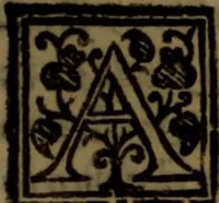 An illustration from La vera dichiaratione di tutte le metafore, similitudini, & enimmi de gl'antichi filosofi alchimisti, tanto caldei & arabi, come greci & latini, vsati da loro nella descrittione, & compositione dell' oro potabile, elissire della vita, quinta essenza, & lapis filosofico : oue con vn breve discorso della generatione de i metalli, & quasi di tutte l'opere di natura, secondo i principij della filosofia, si mostra l'errore, & ignoranza (per non dir l'inganno) di tutti gl'alchimisti moderni (1587)