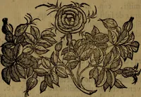 An illustration from La vera dichiaratione di tutte le metafore, similitudini, & enimmi de gl'antichi filosofi alchimisti, tanto caldei & arabi, come greci & latini, vsati da loro nella descrittione, & compositione dell' oro potabile, elissire della vita, quinta essenza, & lapis filosofico : oue con vn breve discorso della generatione de i metalli, & quasi di tutte l'opere di natura, secondo i principij della filosofia, si mostra l'errore, & ignoranza (per non dir l'inganno) di tutti gl'alchimisti moderni (1587)