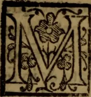 An illustration from La vera dichiaratione di tutte le metafore, similitudini, & enimmi de gl'antichi filosofi alchimisti, tanto caldei & arabi, come greci & latini, vsati da loro nella descrittione, & compositione dell' oro potabile, elissire della vita, quinta essenza, & lapis filosofico : oue con vn breve discorso della generatione de i metalli, & quasi di tutte l'opere di natura, secondo i principij della filosofia, si mostra l'errore, & ignoranza (per non dir l'inganno) di tutti gl'alchimisti moderni (1587)