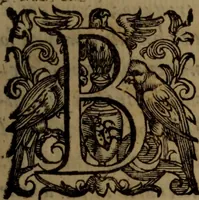 An illustration from La vera dichiaratione di tutte le metafore, similitudini, & enimmi de gl'antichi filosofi alchimisti, tanto caldei & arabi, come greci & latini, vsati da loro nella descrittione, & compositione dell' oro potabile, elissire della vita, quinta essenza, & lapis filosofico : oue con vn breve discorso della generatione de i metalli, & quasi di tutte l'opere di natura, secondo i principij della filosofia, si mostra l'errore, & ignoranza (per non dir l'inganno) di tutti gl'alchimisti moderni (1587)