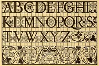 An illustration from La vera perfezione del disegno per punti e recami; riproduzione della edizione di Venezia del 1561 dall'esemplare della Biblioteca Corsiniana in Roma (1909)