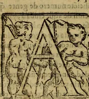 An illustration from La verdadera hystoria del rey Don Rodrigo : en la qual se trata la causa principal dela perdida de España y la co[n]quista que della hizo Miramamolin Almáçor Rey que fue del Africa, y de las Arabias : Co[n]puesta por el sabio Alcayde Abulcacim Tarif Abentariq, de nacion Arbe, y natural de la Arabia Petrea (1592)