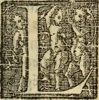 An illustration from La verdadera hystoria del rey Don Rodrigo : en la qual se trata la causa principal dela perdida de España y la co[n]quista que della hizo Miramamolin Almáçor Rey que fue del Africa, y de las Arabias : Co[n]puesta por el sabio Alcayde Abulcacim Tarif Abentariq, de nacion Arbe, y natural de la Arabia Petrea (1592)