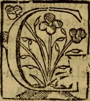 An illustration from La verdadera hystoria del rey Don Rodrigo : en la qual se trata la causa principal dela perdida de España y la co[n]quista que della hizo Miramamolin Almáçor Rey que fue del Africa, y de las Arabias : Co[n]puesta por el sabio Alcayde Abulcacim Tarif Abentariq, de nacion Arbe, y natural de la Arabia Petrea (1592)